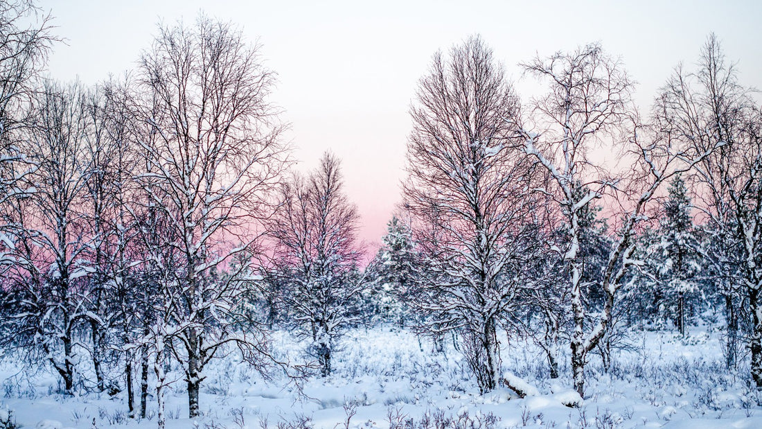 Solstice Beauty Rituals