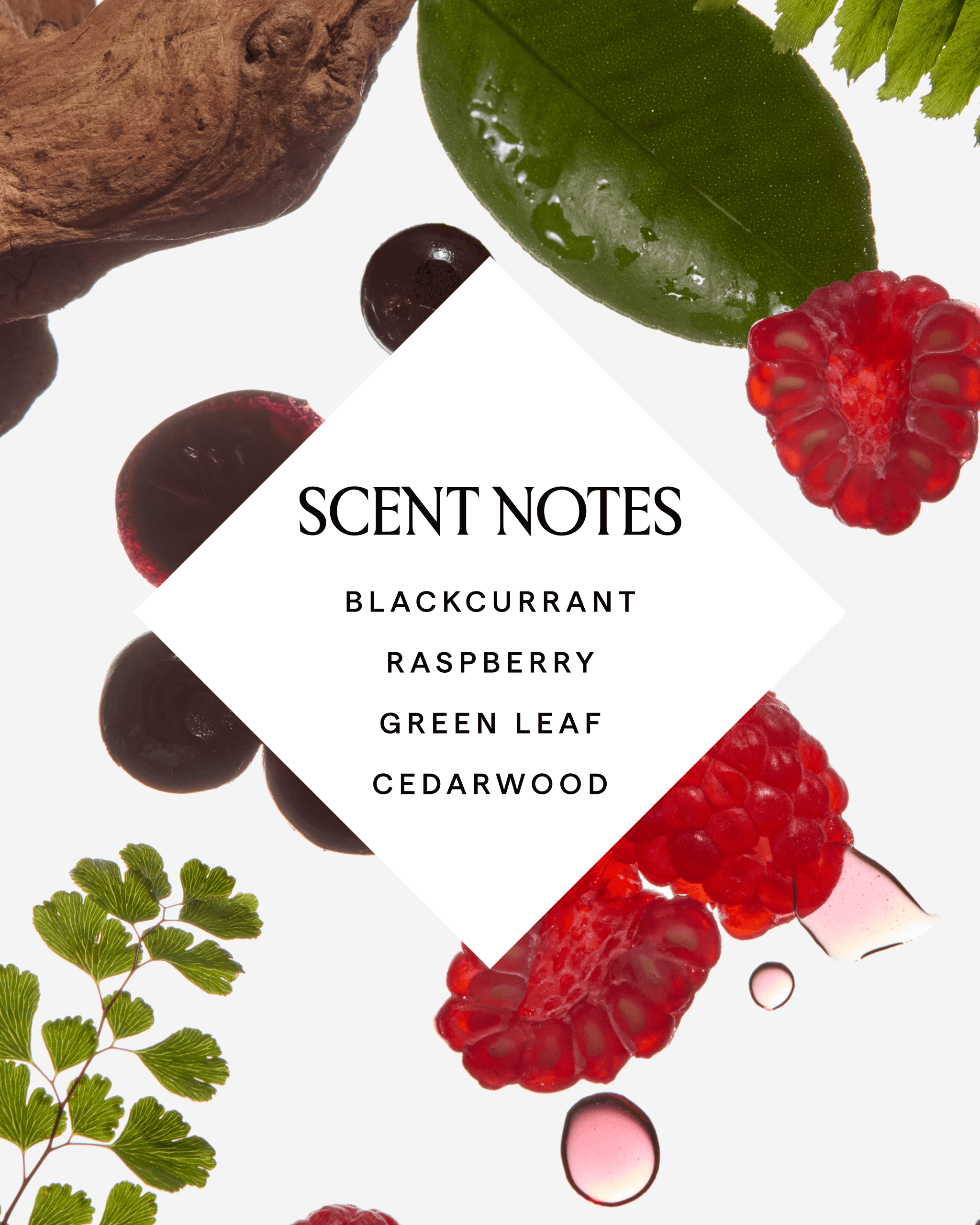 BAKUCHIOL Retinol Alternative Hand Cream