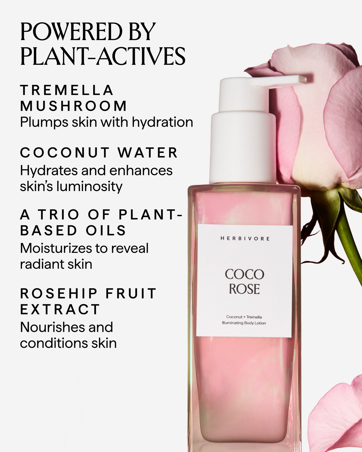Coconut + Tremella Illuminating Body Lotion