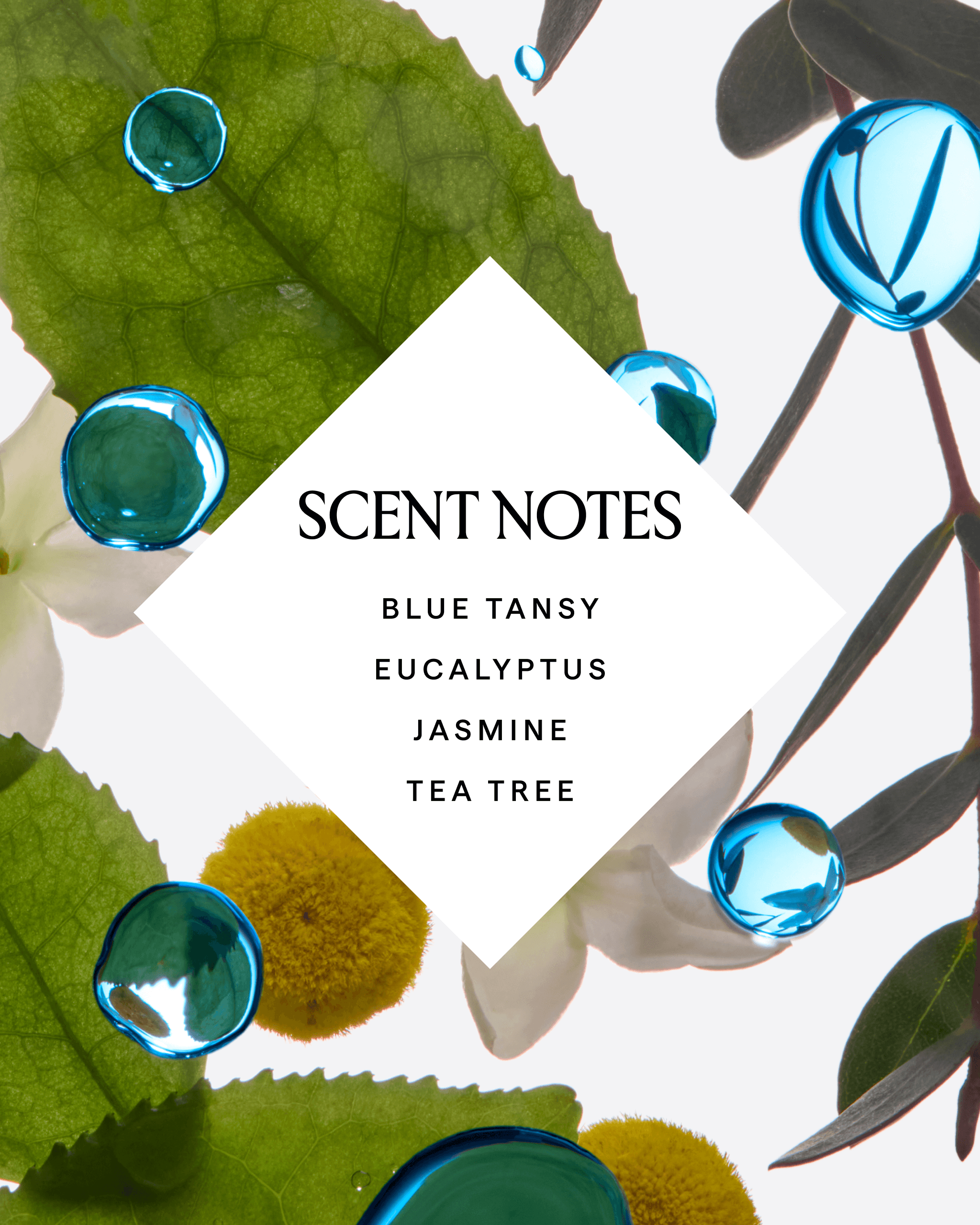 LAPIS Blue Tansy Cleansing Gel Body Wash